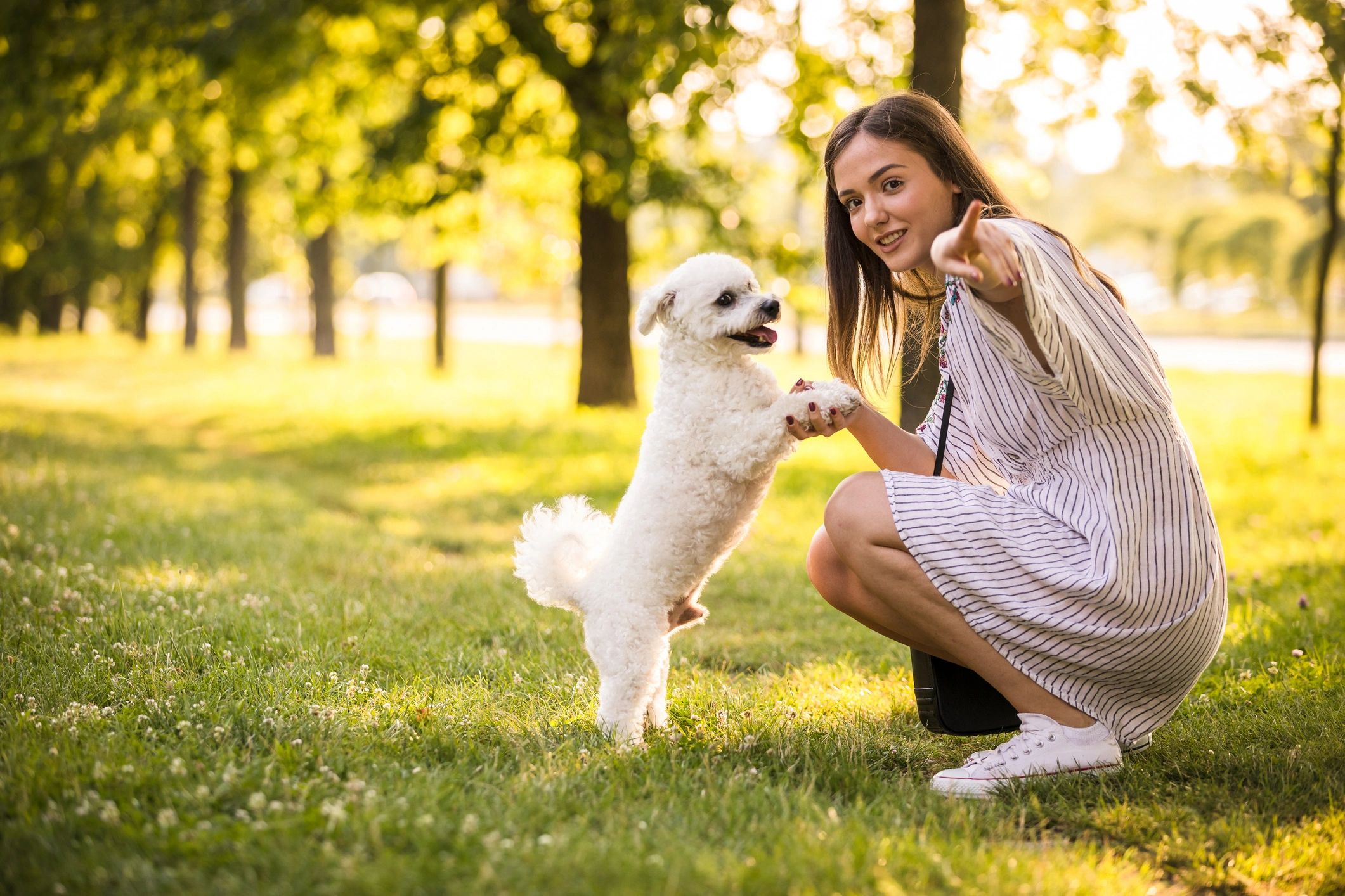 Woman training her dog in a sunny park