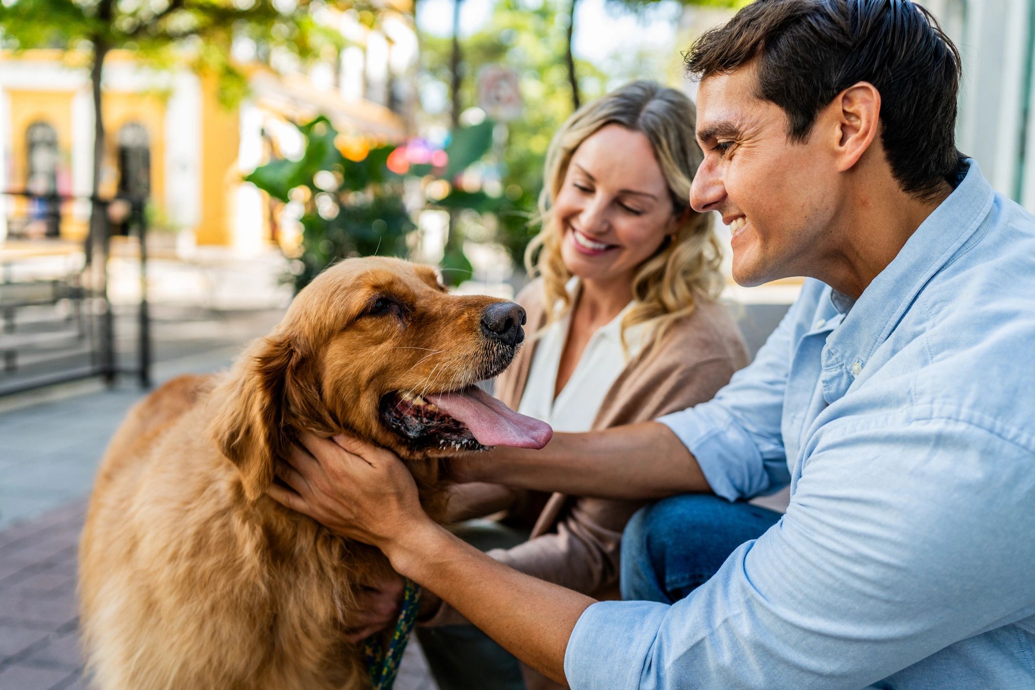 Couple petting their dog on a city street