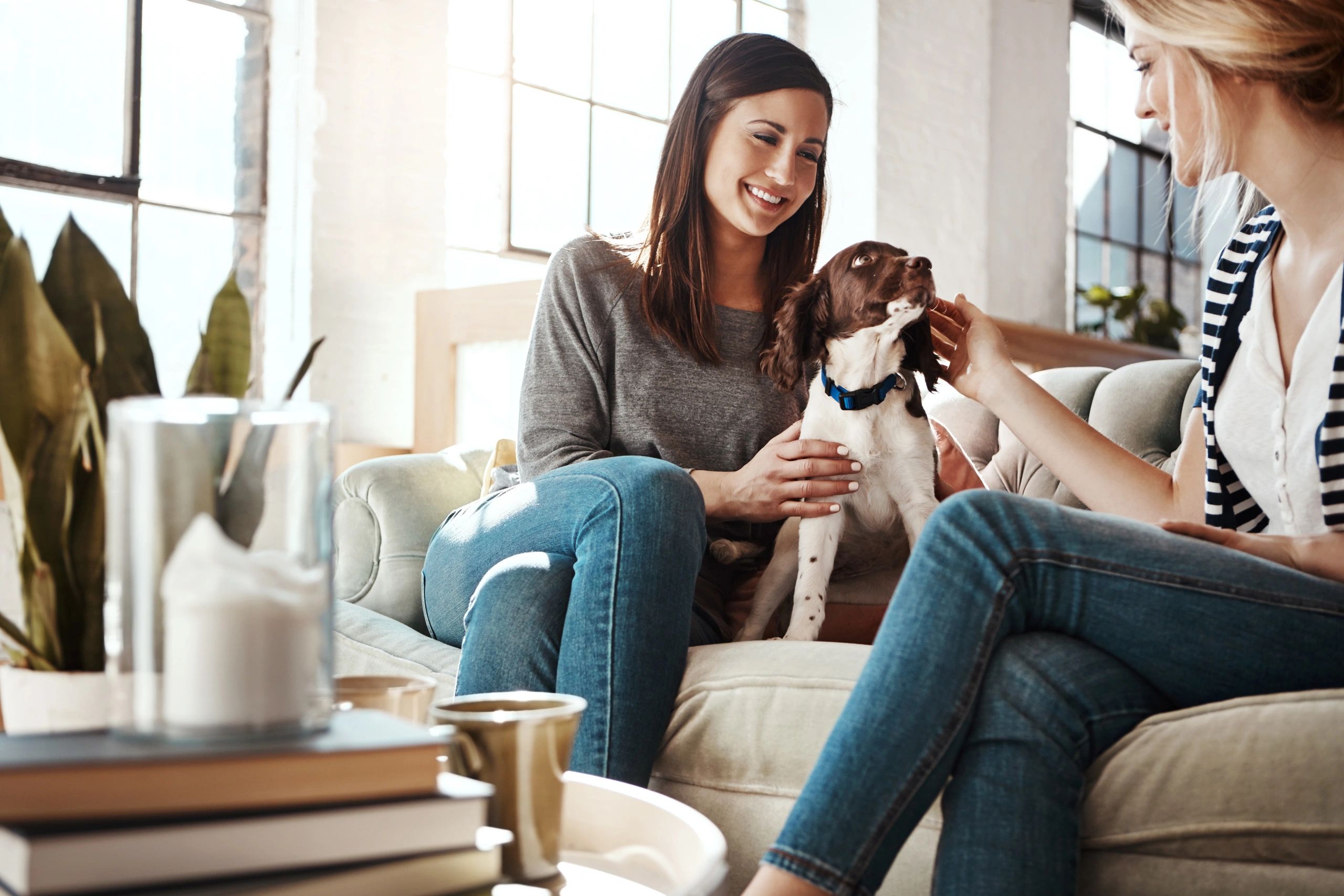Two women sitting at home with a small dog
